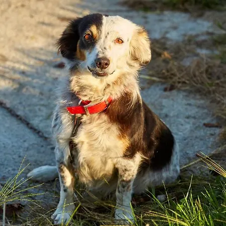 Apartament Urain - At Flysch-coast