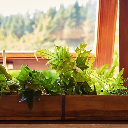 Apartament Urain - At Flysch-coast