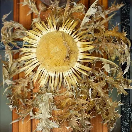 Urain - At Flysch-coast Apartament Zumaia