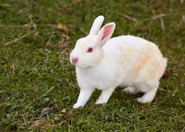Urain - At Flysch-coast