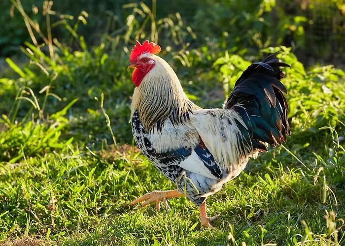 Urain - At Flysch-coast *